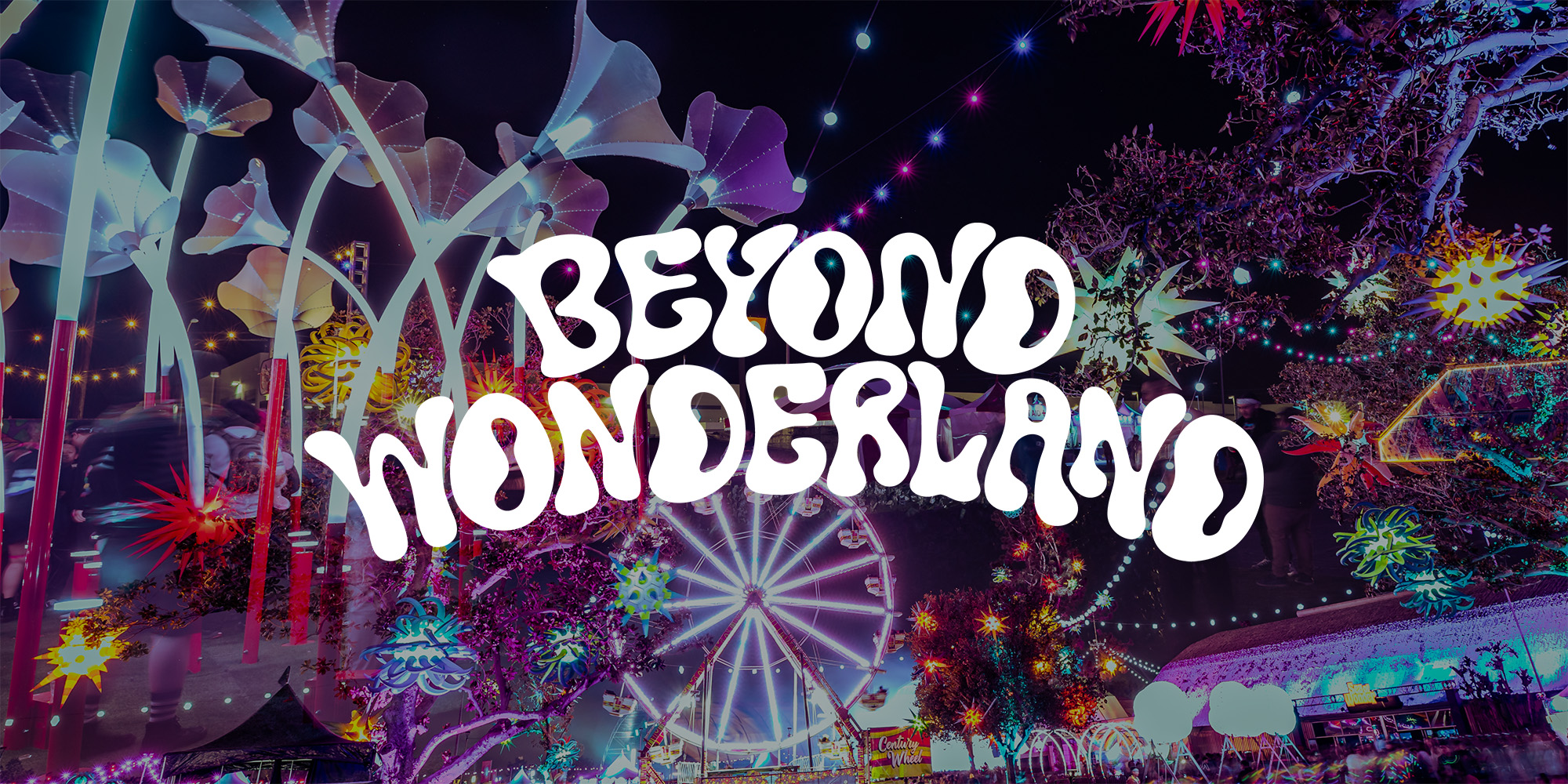 Beyond Wonderland bus bench advertising case study